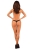799-OBSDODTH-CZA_7.jpg