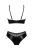 799-OBSNORSE2-CZA_3.jpg