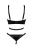 799-OBSARMTED-CZA_3.jpg