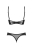 799-OBSROXSEO2-CZA_3.jpg
