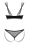 799-OBSNESSE2-CZA_3.jpg