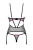 799-OBSNOVECOR-CZA_2.jpg