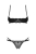799-OBSNUTSE2-CZA_2.jpg