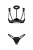 799-OBSROCSE2-CZA_3.jpg