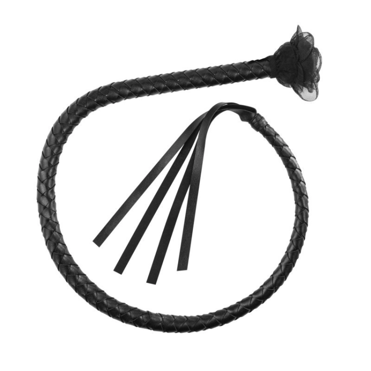 799-OBSVILBIC-CZA_0.jpg