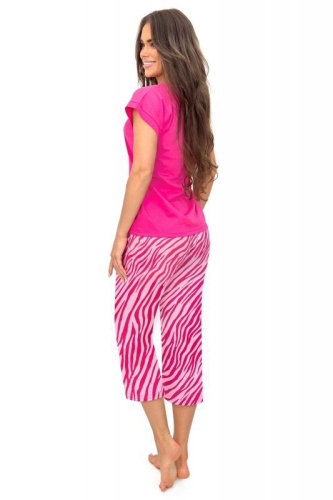 799-DONZEBRA3-4-R_2.jpg