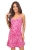 799-DONKNZEBRA-R_0.JPG
