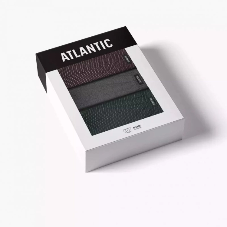 799-ATL3MP202-SWS_3.jpg