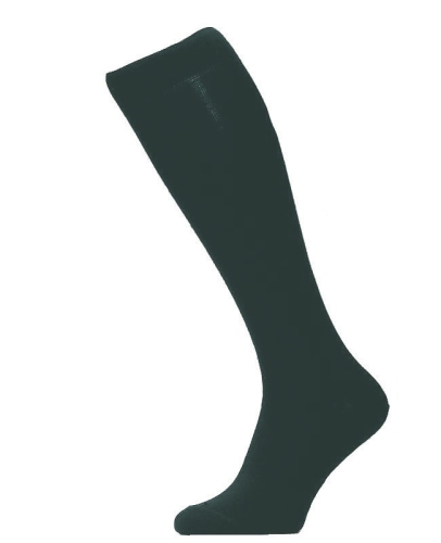 267043.jpg