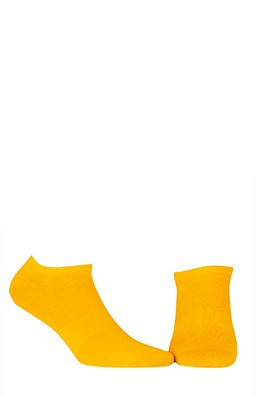 325096.jpg