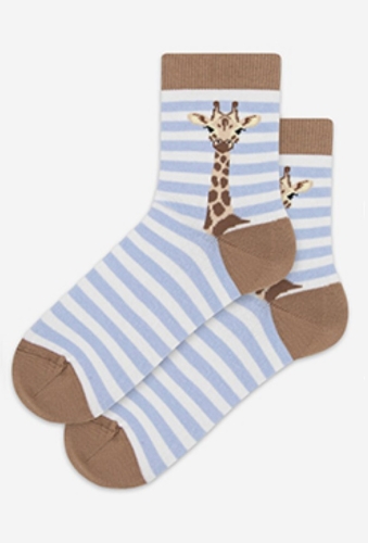 446023.jpg