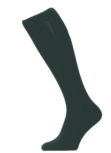 267043.jpg