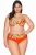 799-AVASF227-3-VIV_2.jpg